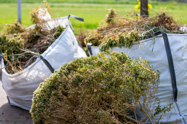 Best Household Junk Removal  in Grenada, MS